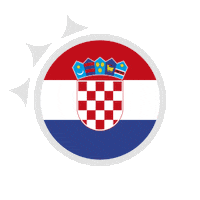 represent world cup Sticker by FIBA