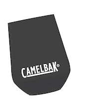 Party Celebrate Sticker by CamelBak