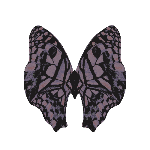 Prom Queen Butterfly Sticker by Olivia Rodrigo