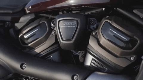 Ride GIF by Harley-Davidson