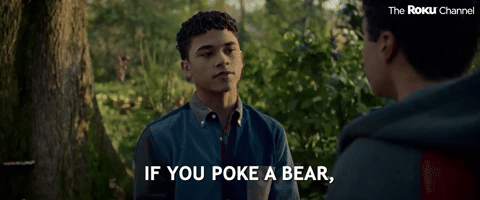 If You Poke A Bear