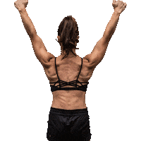 revolutionx level up levelup pull up revx Sticker