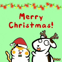 Merry Christmas Cat GIF by Poku Meow