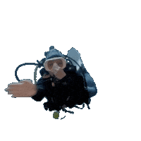Scuba Diver Sticker by PADI