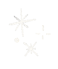 Sparkle Sparkling Sticker by Texas A&M University