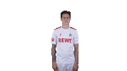 1 Fc Cologne Football Sticker by 1. FC Köln