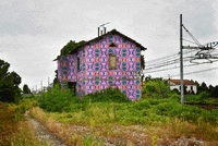 pattern-nostrum art psychedelic mask architecture GIF