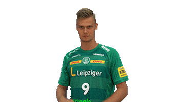 Handball Leipzig Sticker by SCDHFK