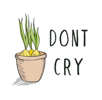 plantum plant plants insect onion Sticker