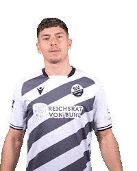 3Liga Wirechtanders Sticker by SV Sandhausen