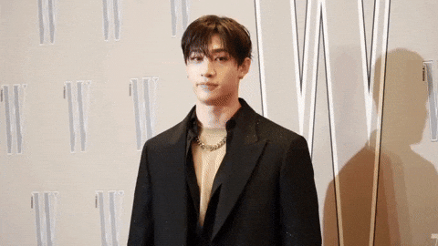 Stray Kids Hello GIF