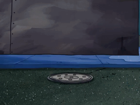 season 5 GIF by SpongeBob SquarePants