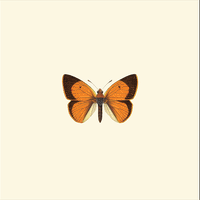 Biblioteca Claudio Gay GIF by Memoria Chilena