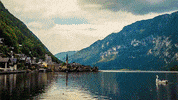 GIF by Digg