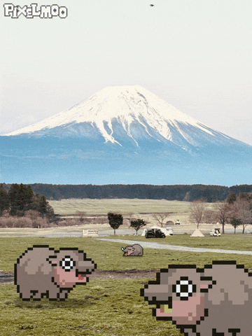 Camping Mount Fuji GIF