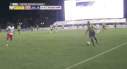 new york red bulls scarlett GIF by NYRB II