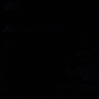 Tinder Dating App GIF