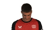 Look Up Bayer Leverkusen Sticker by Bundesliga