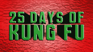 martial arts 25 days of kung fu GIF by Shaw Brothers