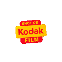 Film Photography Sticker by Kodak Professional Europe