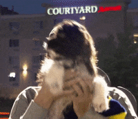 Fort Wayne Dog GIF by TinCaps