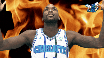 fresh prince no GIF by Charlotte Hornets