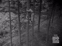 Vintage Walking GIF by Beeld & Geluid