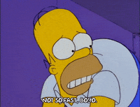 homer simpson willie GIF