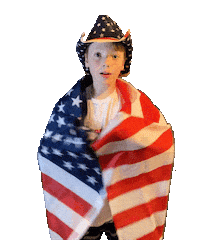 American Flag Usa Sticker by FocusInsite