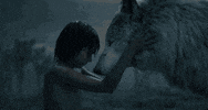 The Jungle Book GIF by Disney