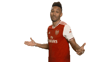 Premier League Epl Sticker by Arsenal