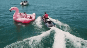 Ross Lynch Fun GIF by The Driver Era