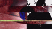 Art Video GIF by jorgemariozuleta