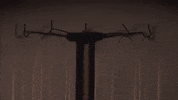 Art Video GIF by jorgemariozuleta