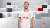 Looking Line Up GIF by Bundesliga