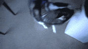 Pet Dog Love GIF by Global Esports