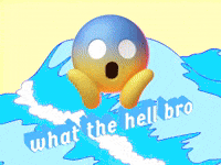 What The Hell Bro