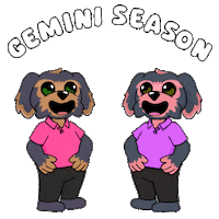 Zodiac Sign Stars Sticker by BoDoggos