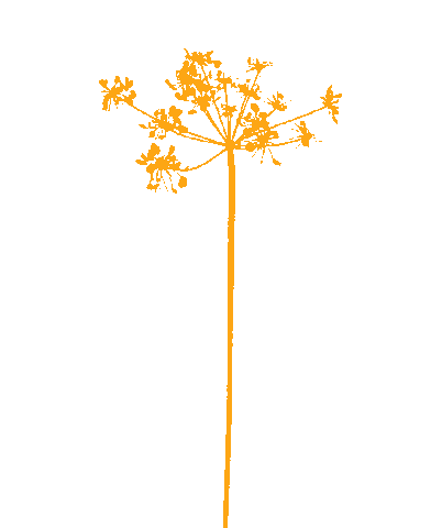 Flower Oerrr Sticker by Natuurmonumenten