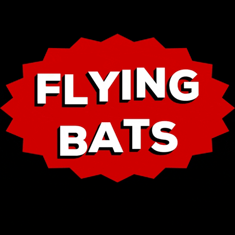 theflyingbats giphygifmaker fbfc flyingbats flyingbatsfootballclub GIF
