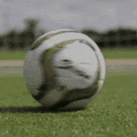 Twc GIF by Senda Athletics