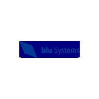 blusystems itcompany itsecurity dataprivacy blueye Sticker
