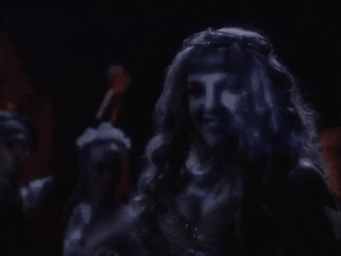 lunahagfish giphygifmaker dance dancing cinderella GIF