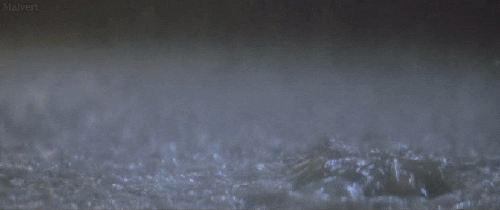i know what you did last summer GIF
