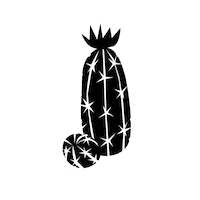 Cactus Sticker by Taylor Reeve
