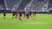 mal dribble GIF by Washington Spirit