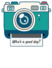 Goodwillgames Sticker by EmbarkVet