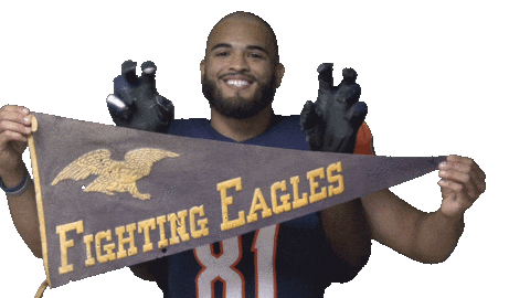 Football Sport Sticker by Carson-Newman Athletics