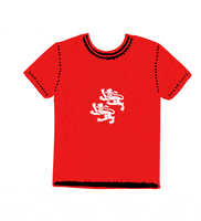 Schützi GIF by FC Winterthur