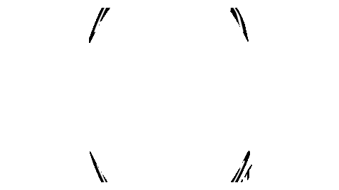 stichtingonkruid giphyupload festival house disco Sticker